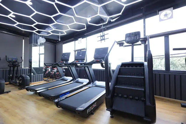 Treadmills and cardio machines on the wood floor