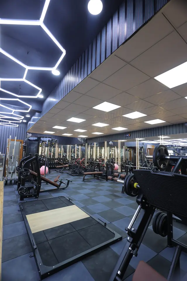 Plate-loaded resistance machines
